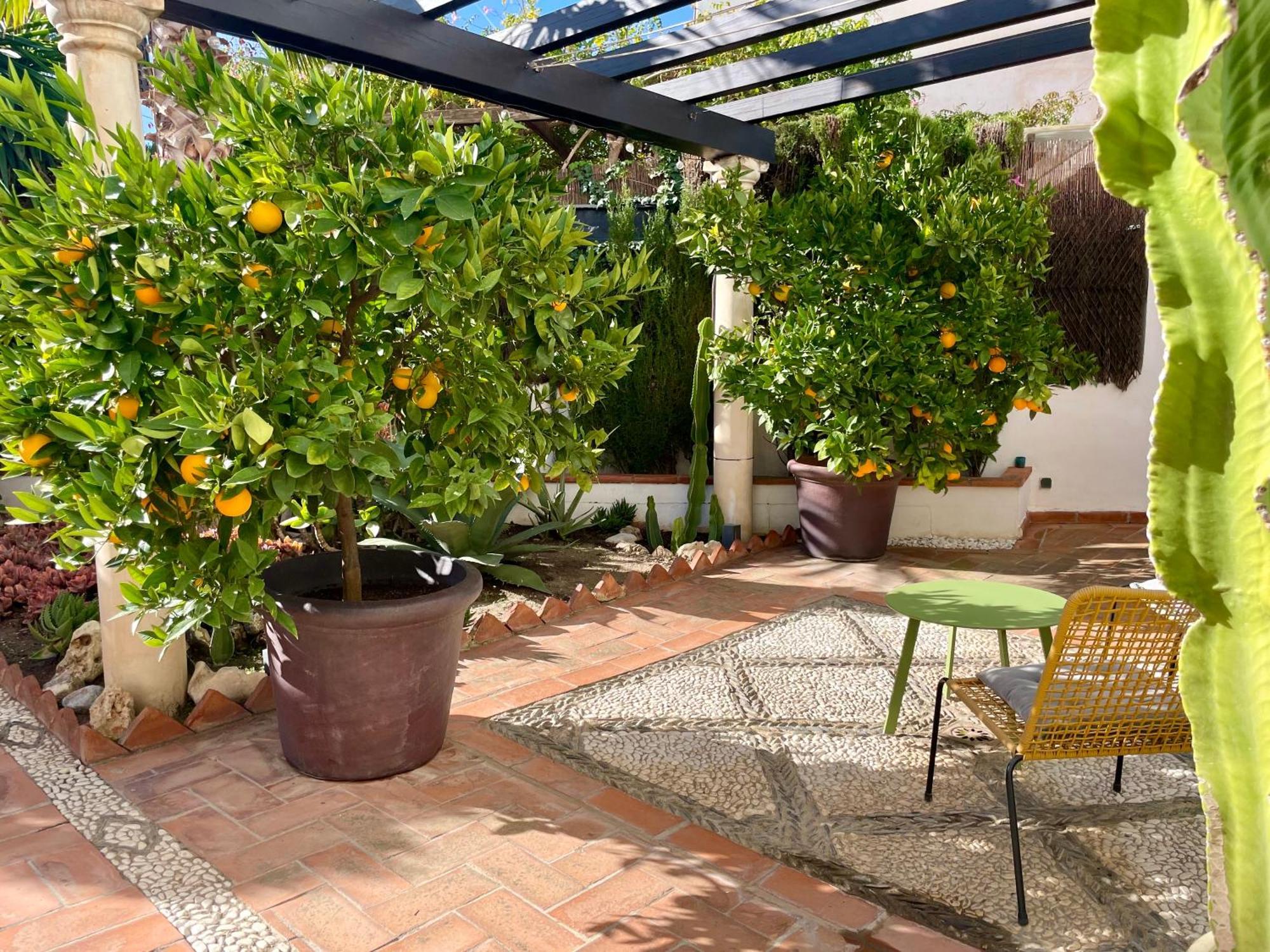 San Miguel B&B Grenade Extérieur photo